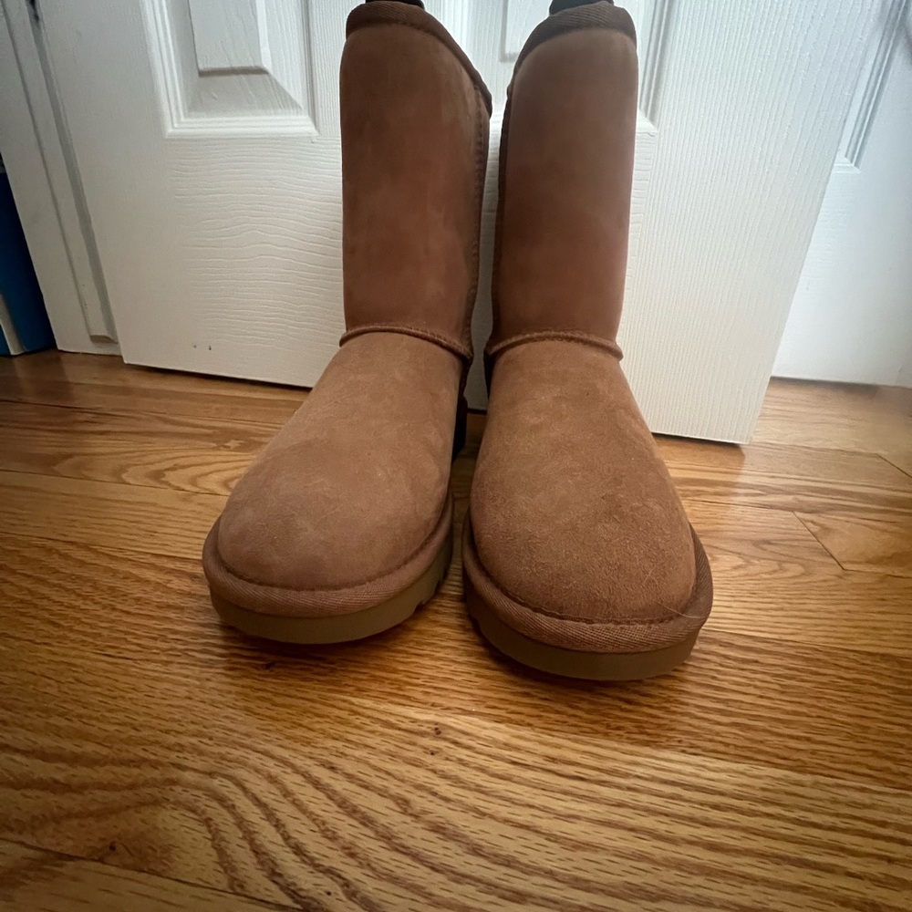 UGG Chestnut Classic Short Boots